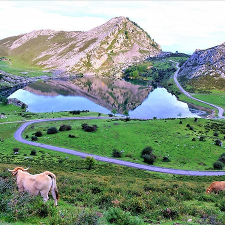 فيلا Casa Vacacional Gerpe II Navés المظهر الخارجي الصورة