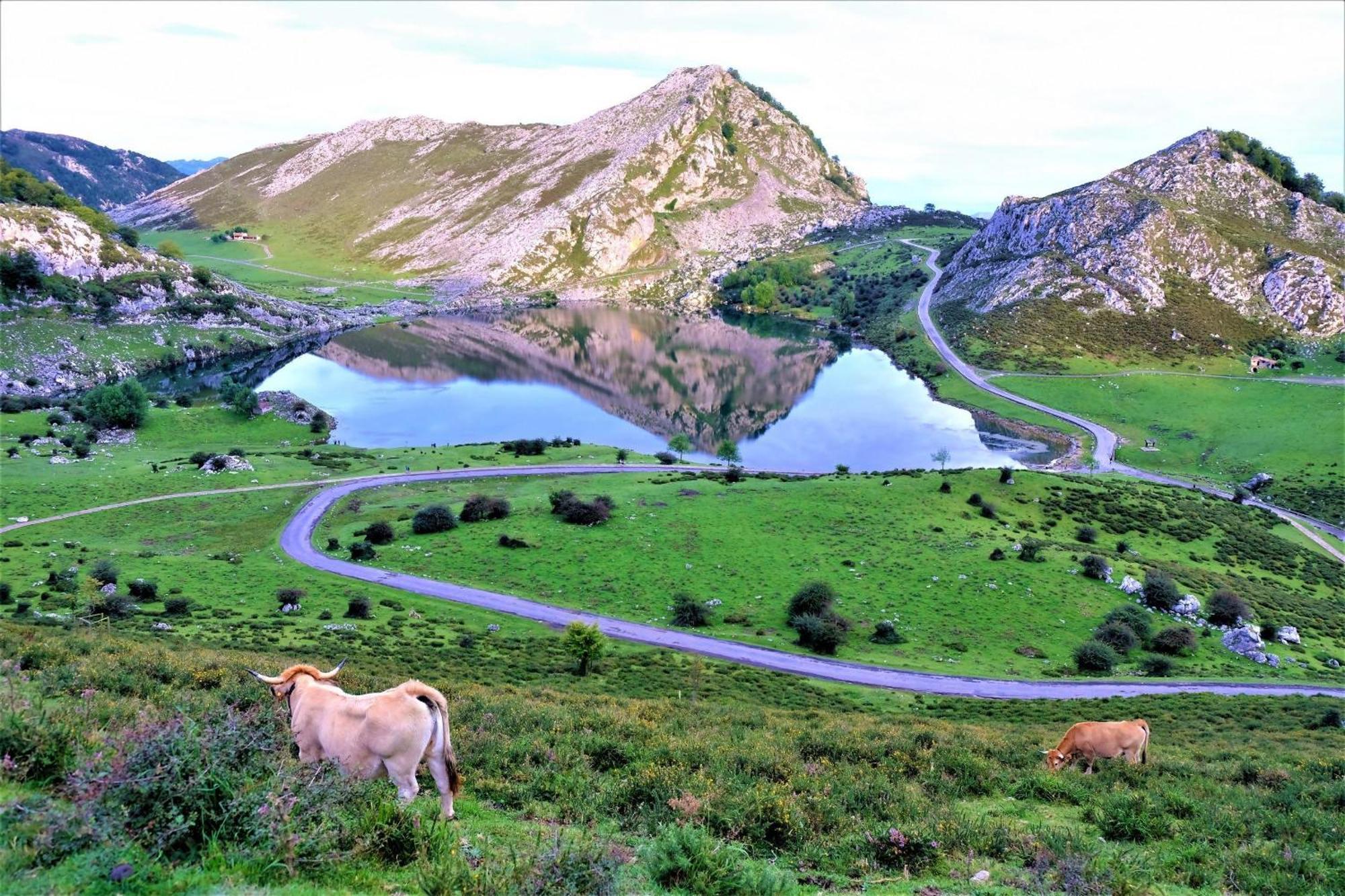 فيلا Casa Vacacional Gerpe II Navés المظهر الخارجي الصورة